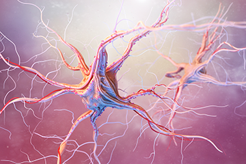 graphic of nerve in the brain